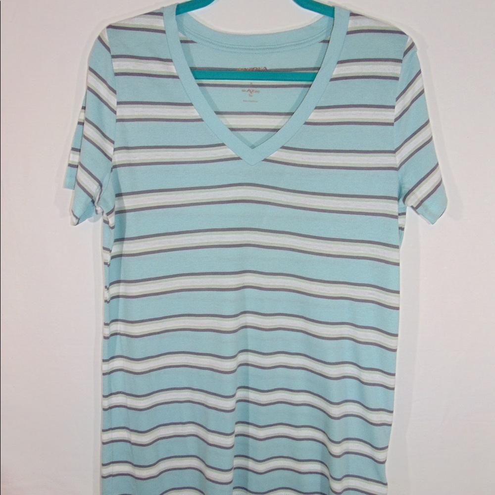 Blue Striped Arizona T-shirt